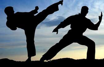 Academia de Artes Marciais Bruno Igreja - Foto 1
