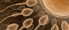 clinicas-de-fertilizacao-humana-macapa-1392142492