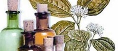 farmacias-de-homeopatia-macapa-1392143320