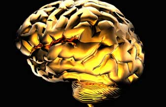 Neuroclínica - Foto 1