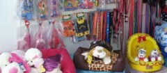 petshop-macapa-1392041763