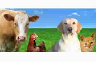 Loja do Produtor - Foto 1