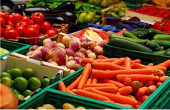 Penha Hortifruti - Foto 1