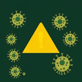 Amapá virus respiratórios