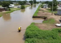 limpeza do Canal do Beirol