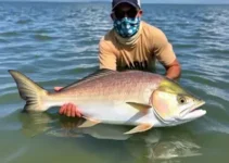 programa Peixe Popular no Amapá