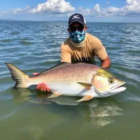 programa Peixe Popular no Amapá