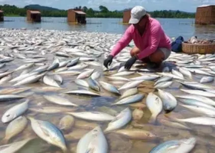 Últimas notícias de Macapá