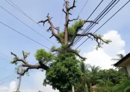 Últimas notícias de Macapá