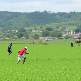 Amapá em Campo