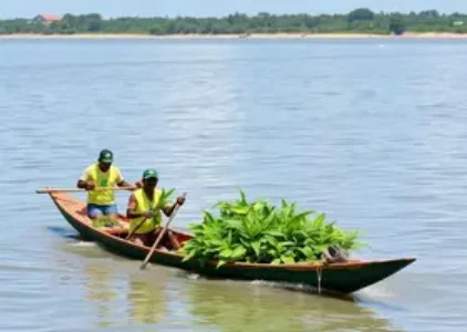 Últimas notícias de Macapá