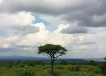 titulação de terras quilombolas