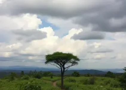 Últimas notícias de Macapá