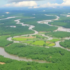 inovação amazônica