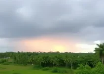 previsão do tempo em Macapá