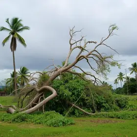 ventania em Santana