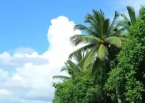 clima em Macapá