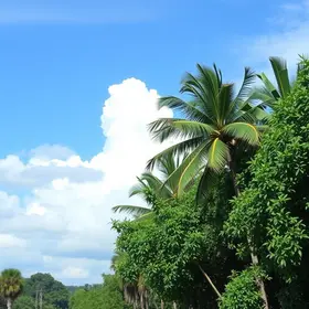 clima em Macapá