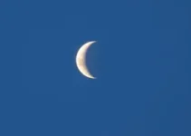 eclipse lunar