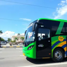 ônibus gratuitos Expofeira 2026
