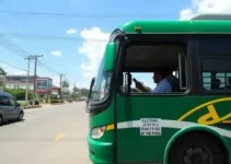 gratuidade no ônibus Macapá