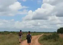 Círio de Nazaré em Macapá