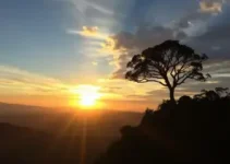 amanhecer em Macapá