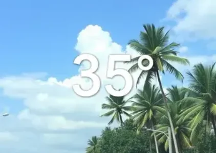 Últimas notícias de Macapá