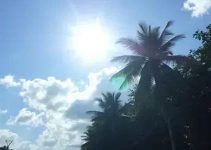 Últimas notícias de Macapá