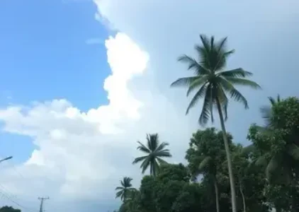 previsão do tempo em Macapá