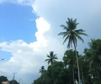 previsão do tempo em Macapá