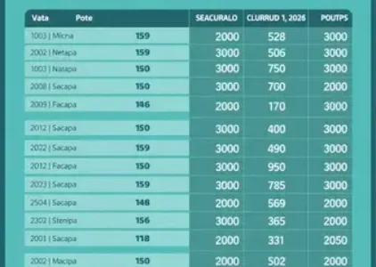 Últimas notícias de Macapá